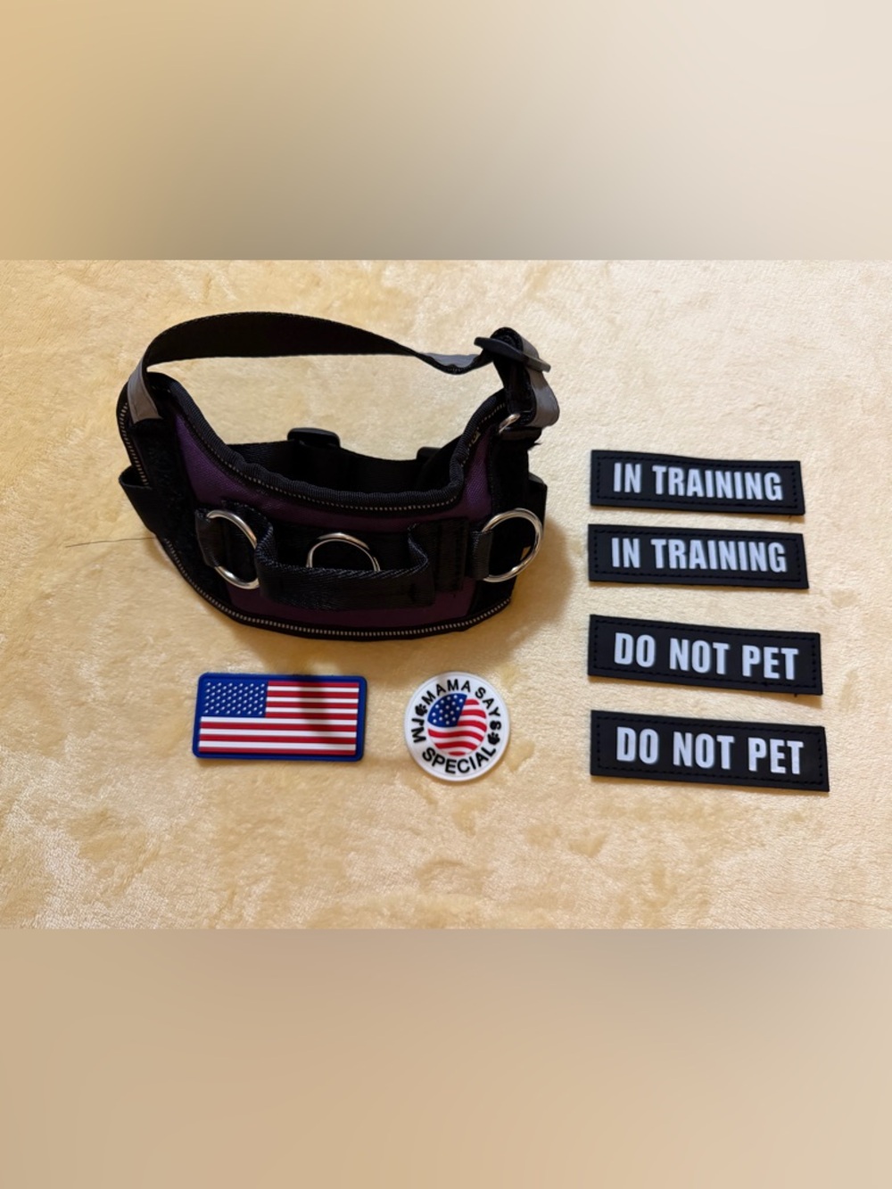 Essential Dog Harness with 3 Leash Clips - No-Pull, Adjustable